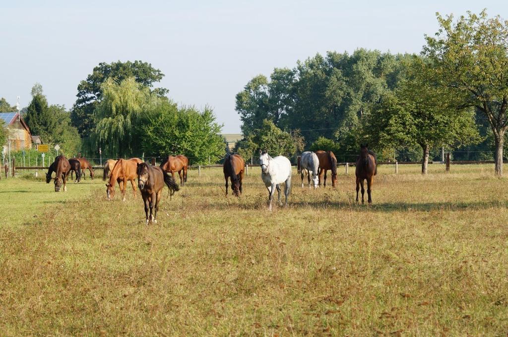 Ferienwohnung Kaim Prichsenstadt Pokój zdjęcie