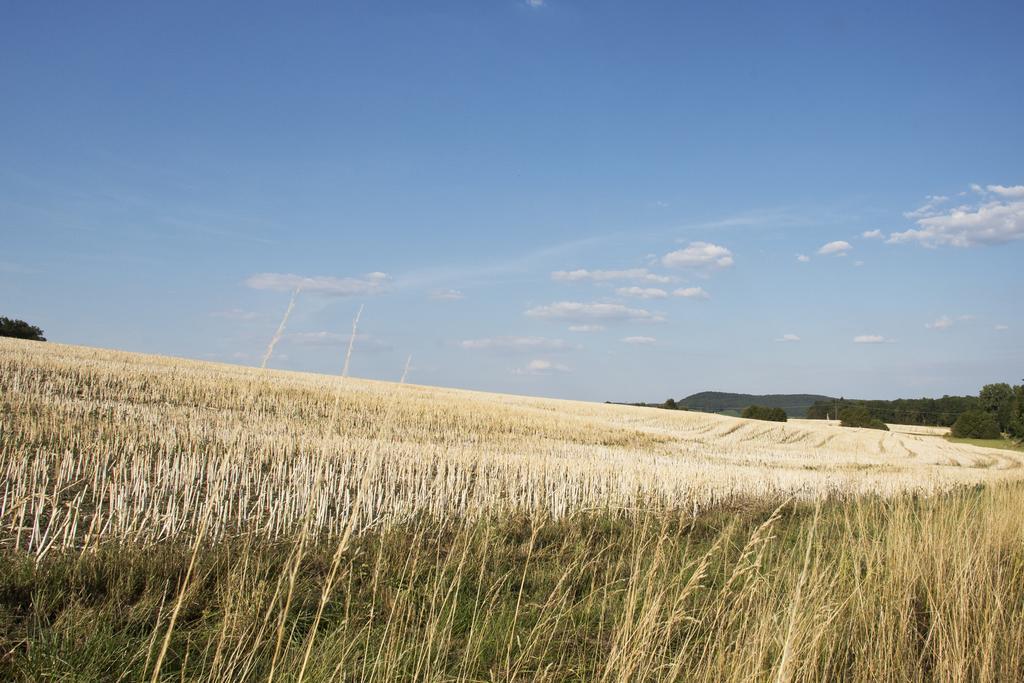Ferienwohnung Kaim Prichsenstadt Pokój zdjęcie